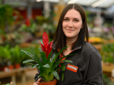 Teract formations - Produit