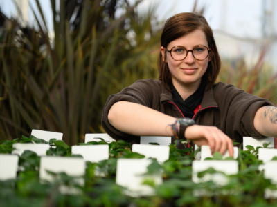 Teract formations - QHSE